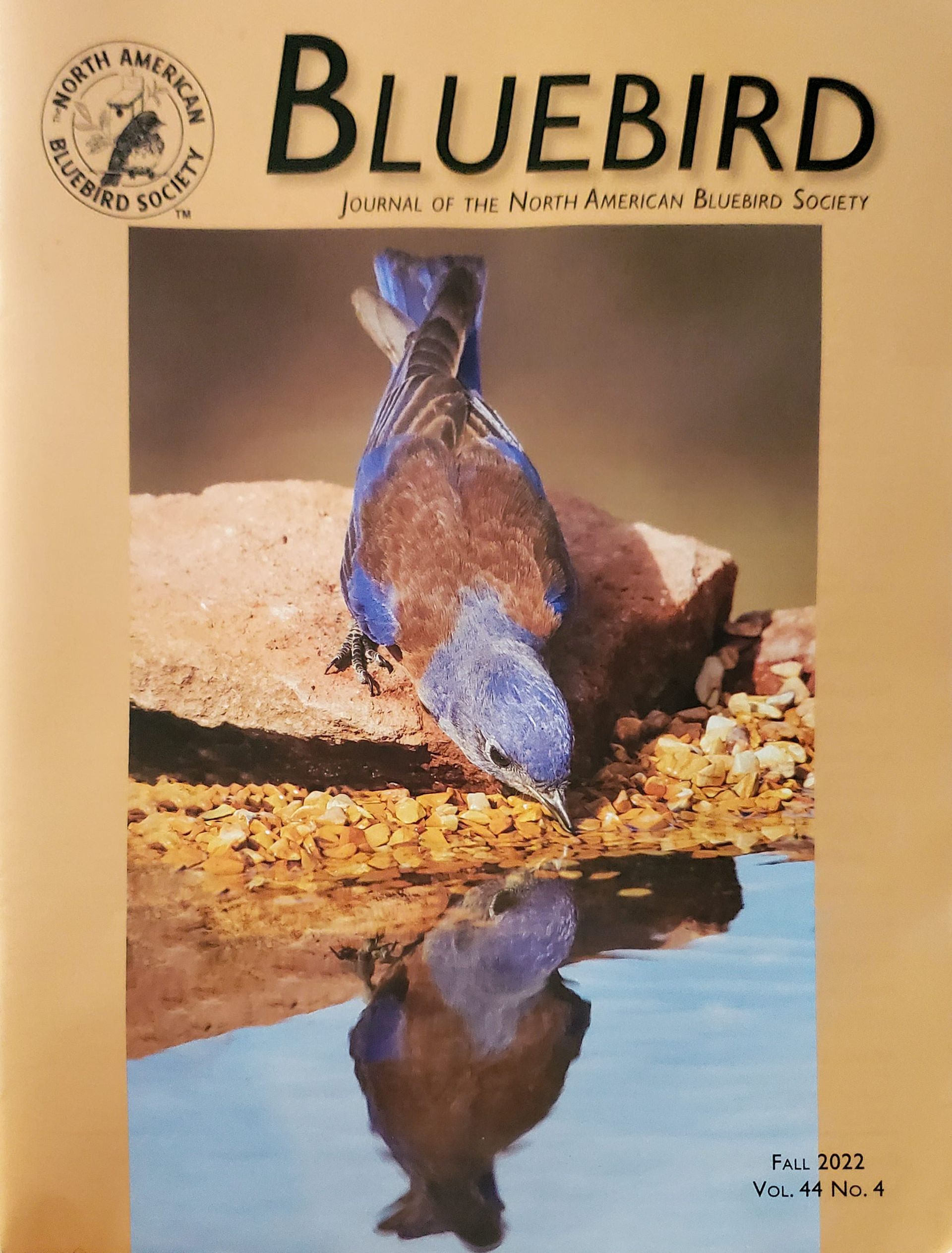 Magazine cover, titled 