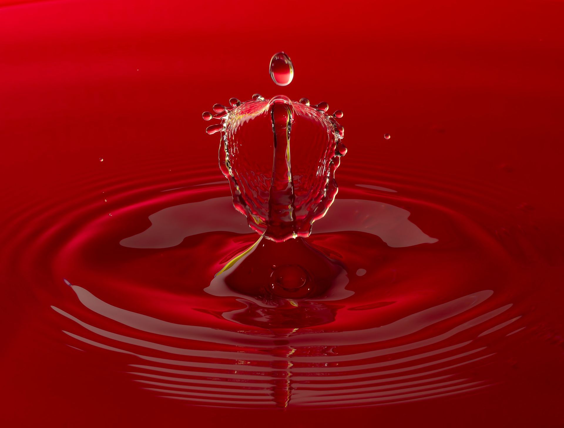 A water droplet creates a crown-shaped splash in red liquid, with ripples expanding outwards.