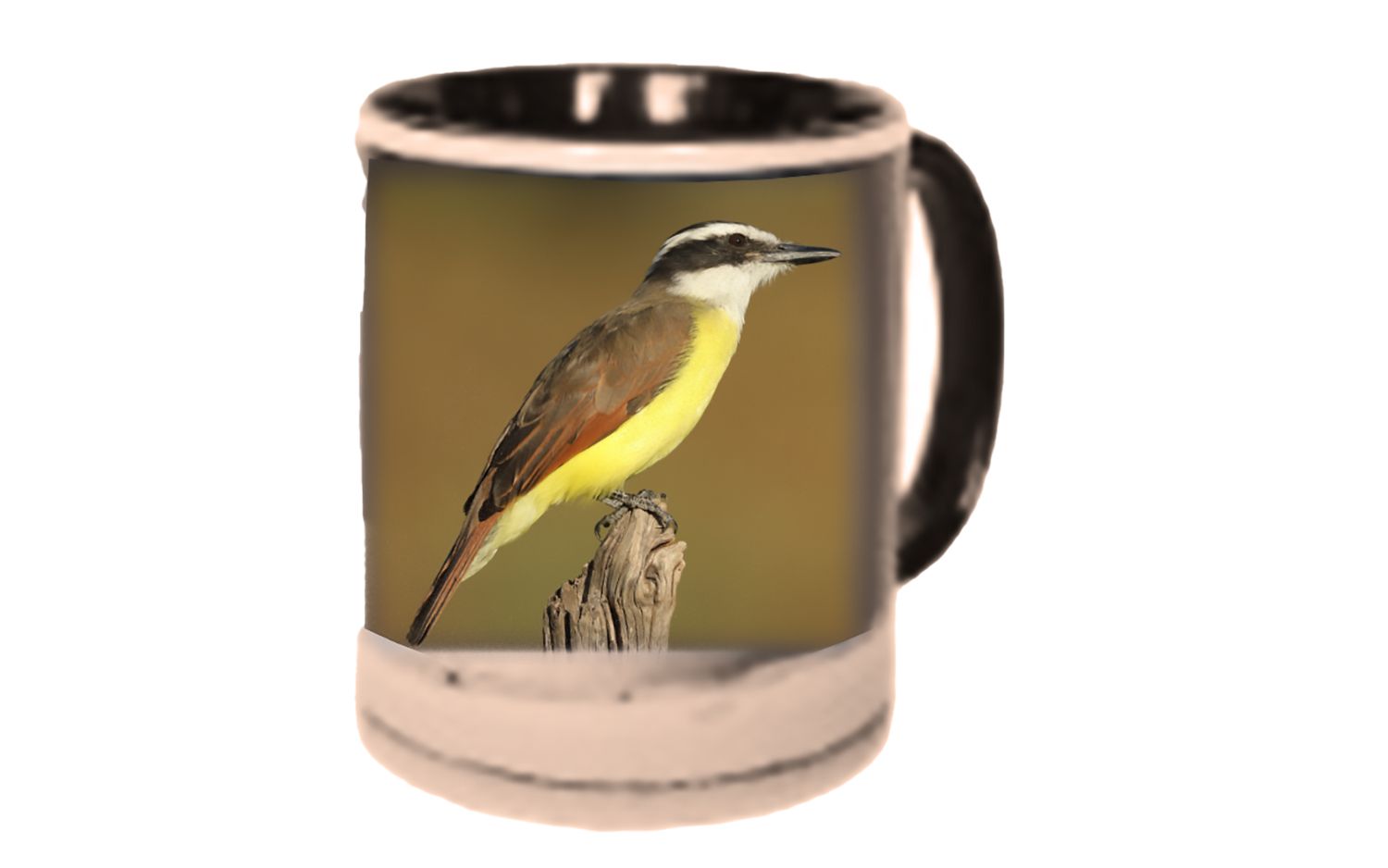 Mug with a bird, yellow chest, brown back, perched on a stump.