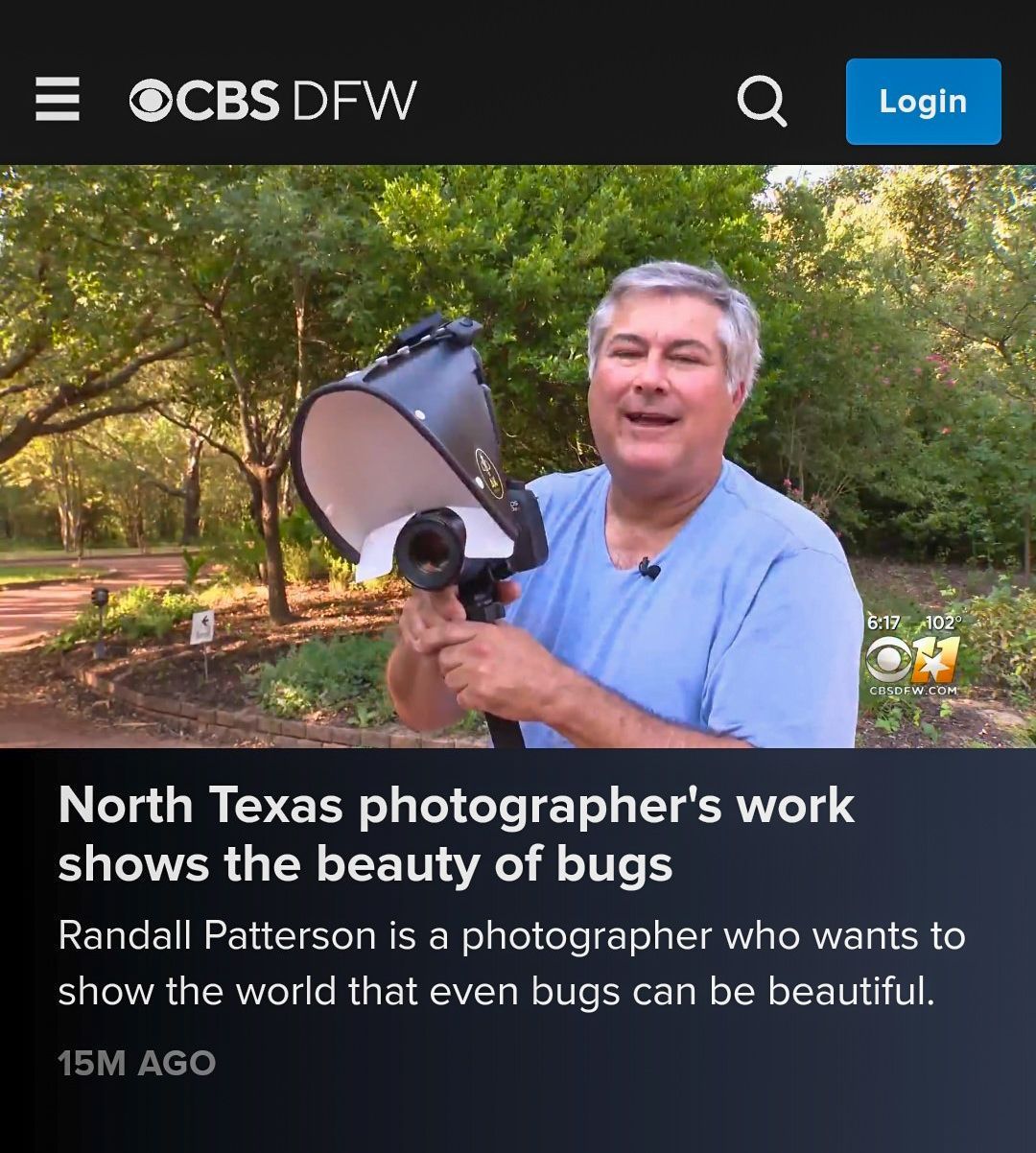 Man holding camera equipment, presenting a news segment about bug photography in North Texas.
