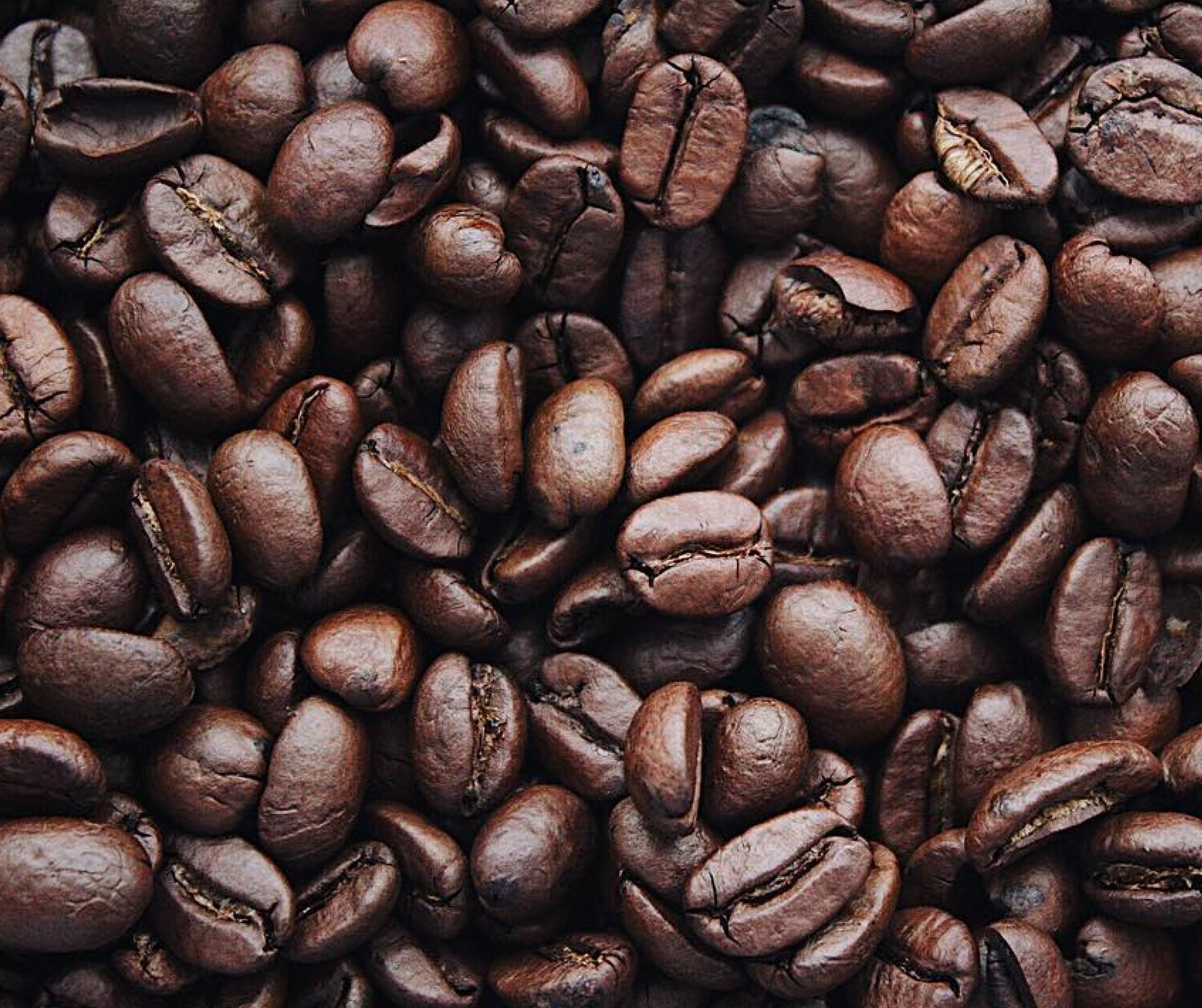 Close-up of dark roasted coffee beans filling the frame