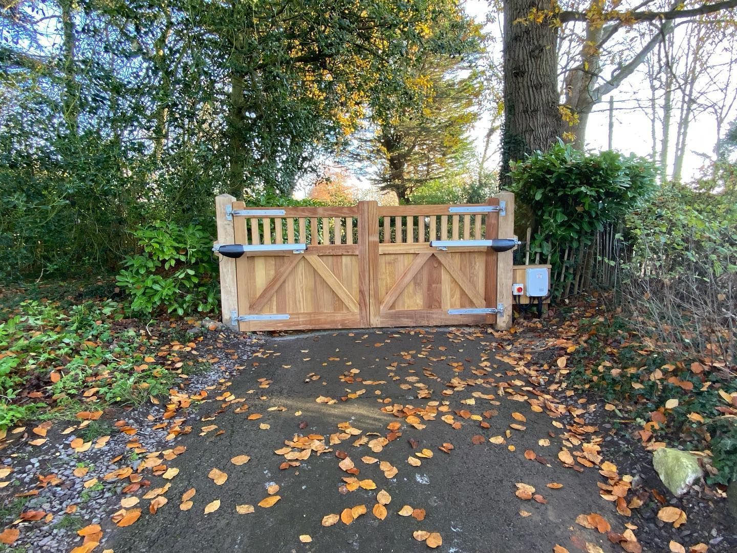 Bespoke Timber Electric Gate square with panneling with bushes and a tree either side 

