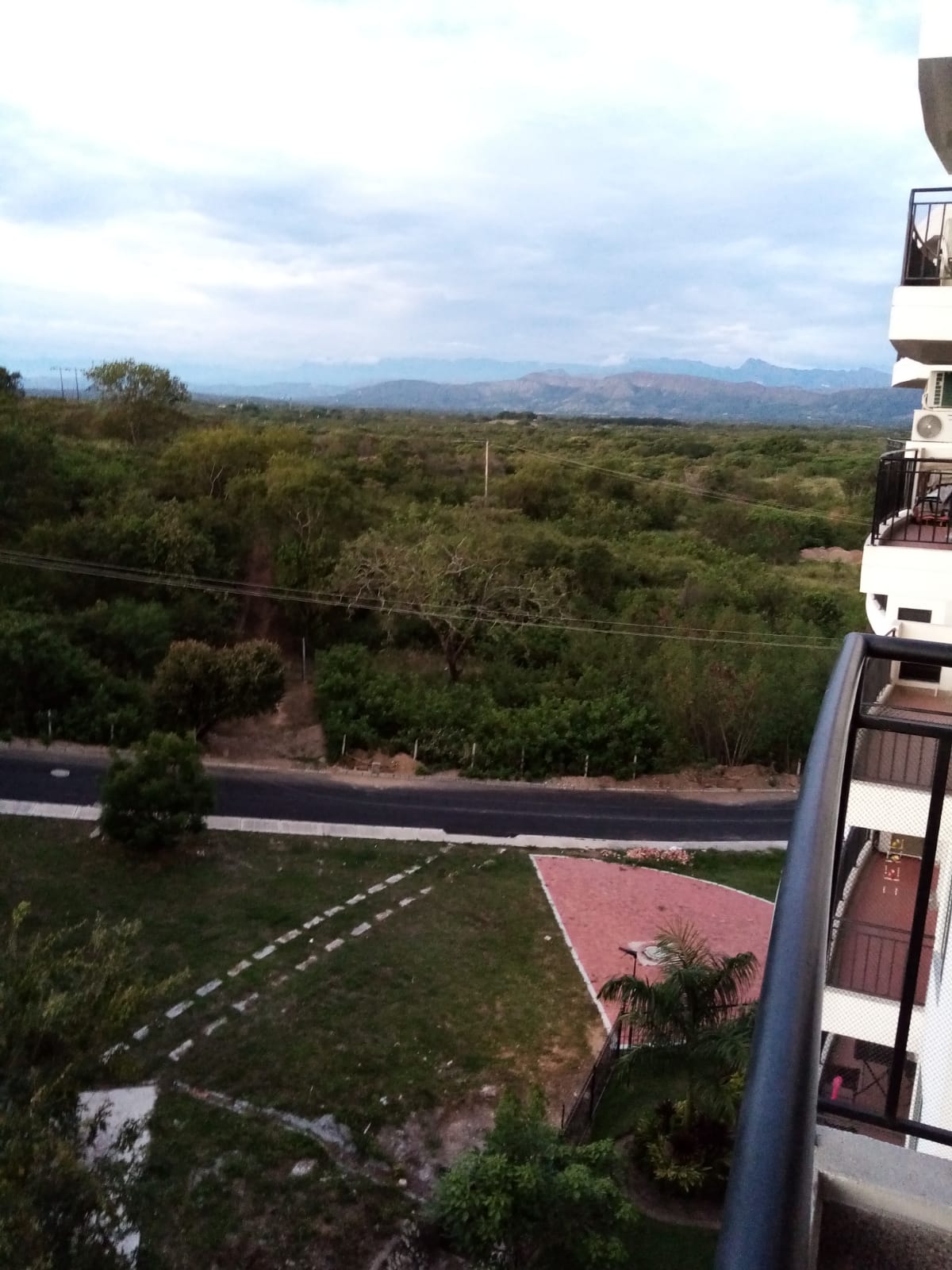 Una vista de un exuberante bosque verde desde el balcón de un edificio.