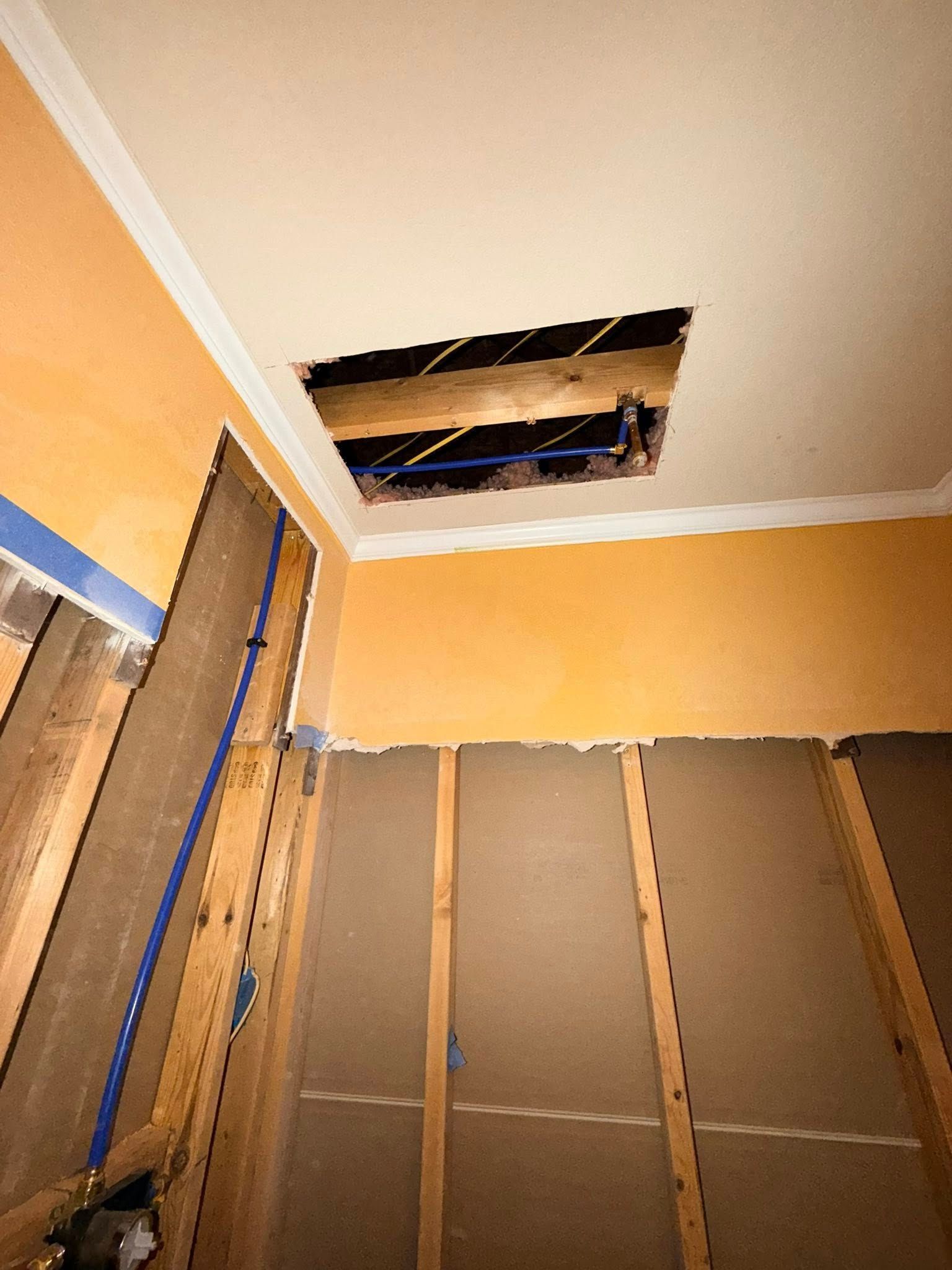 Bathroom renovation: ceiling open, walls exposed, orange and blue colors.
