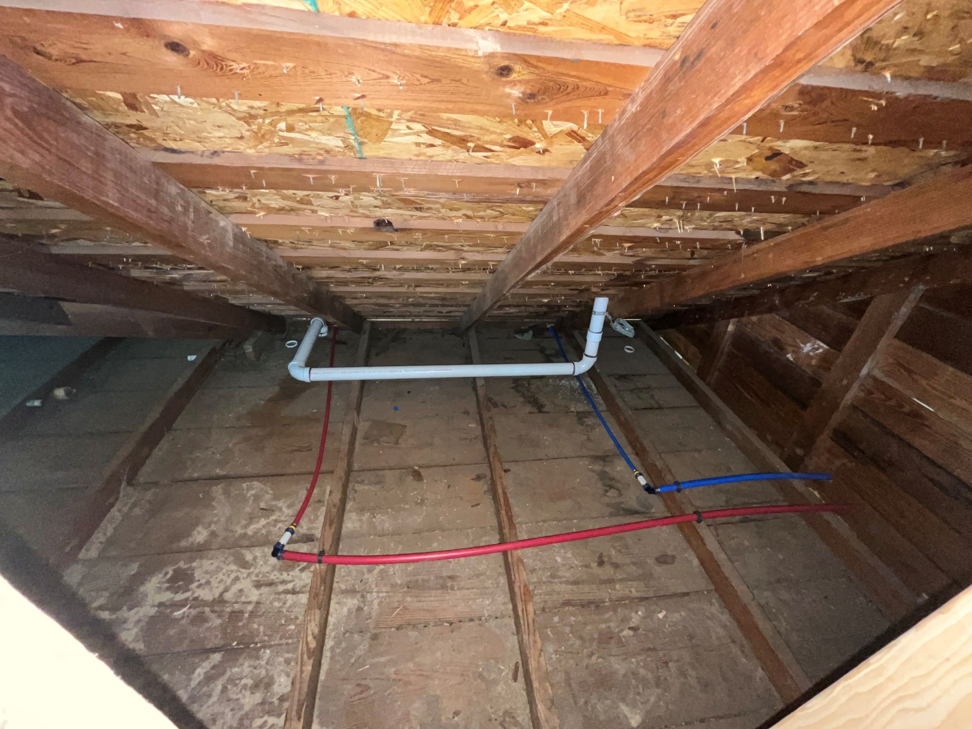 Plumbing pipes in attic. Red and blue water lines run below white waste pipe, wooden beams above.