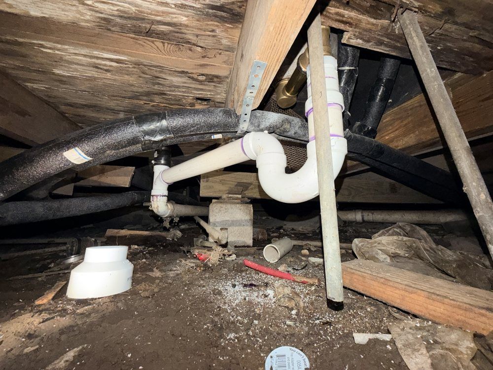 Underneath a house, PVC pipes form a P-trap drain system. Wood beams and insulation surround the plumbing.