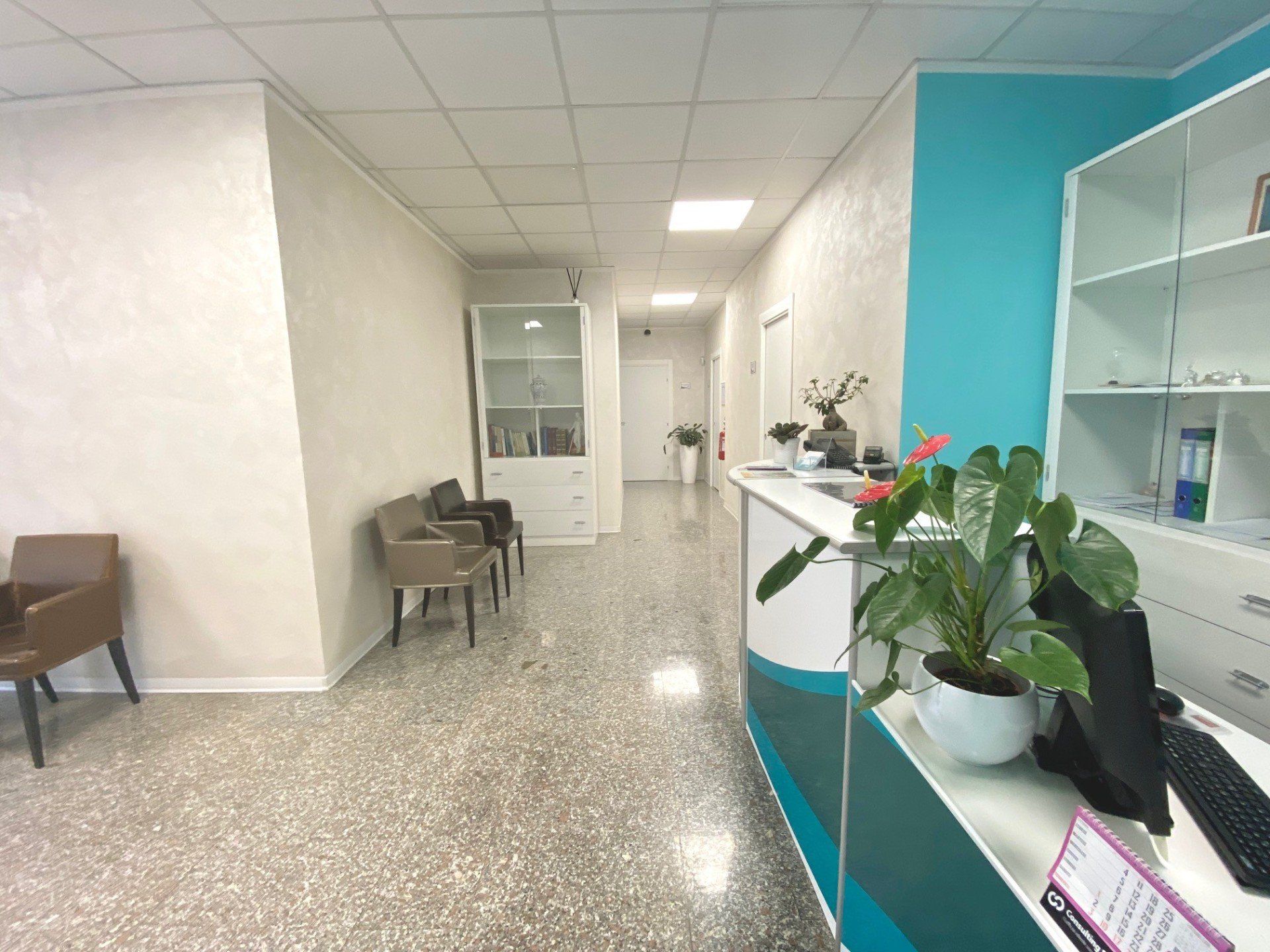 studio somatos