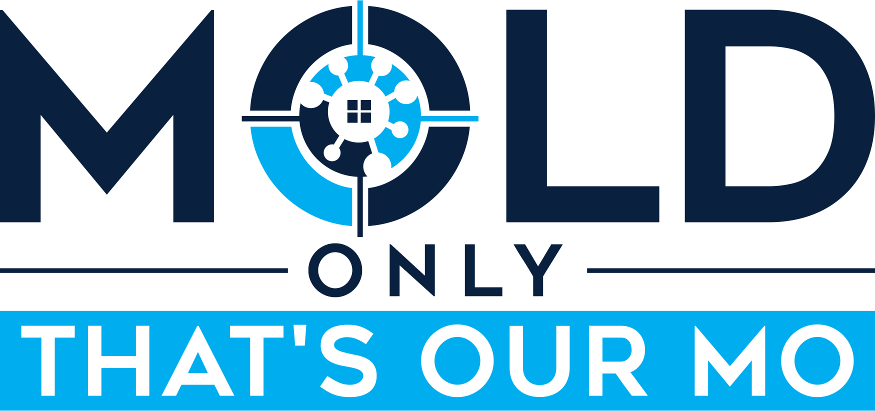 Mold Testing Mold Removal In Palm Beach County Florida mold-testing-mold-removal-in-palm-beach-county-florida