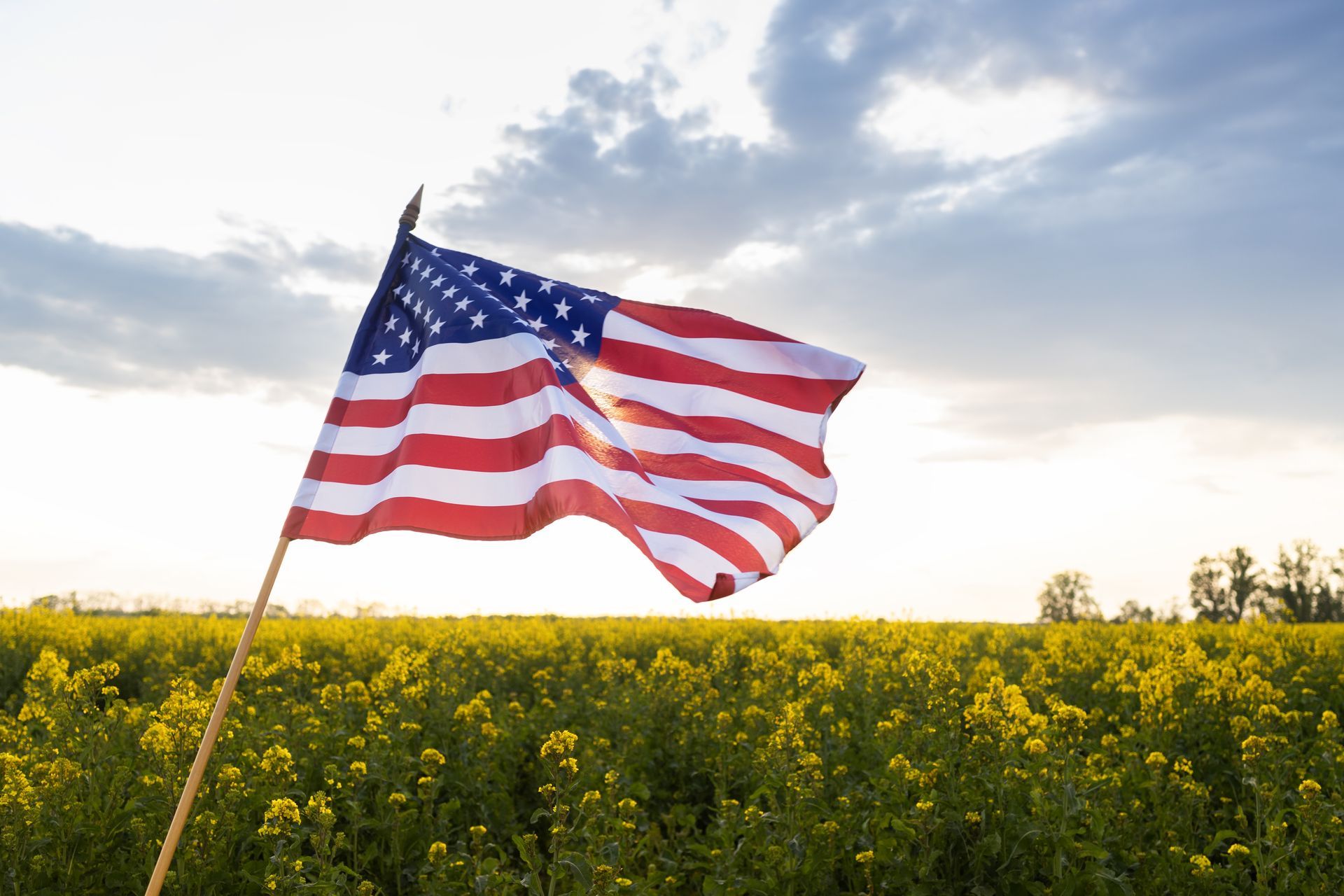 An American flag waves on a pole above a field of yellow flowers under a cloudy sky.