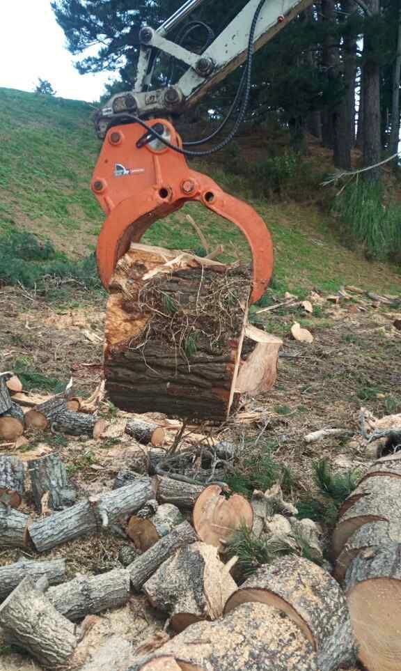 A large log is being lifted by a machine in a pile of logs.