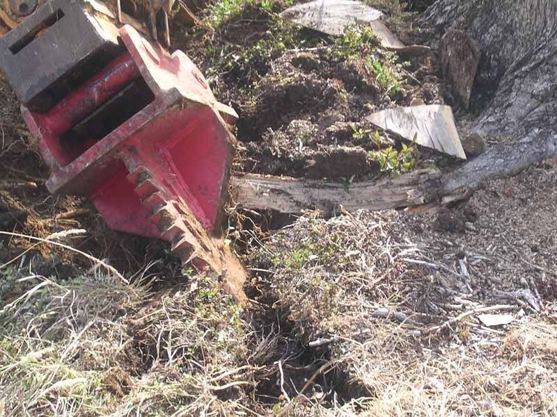 A red machine is sitting in the dirt next to a tree stump.