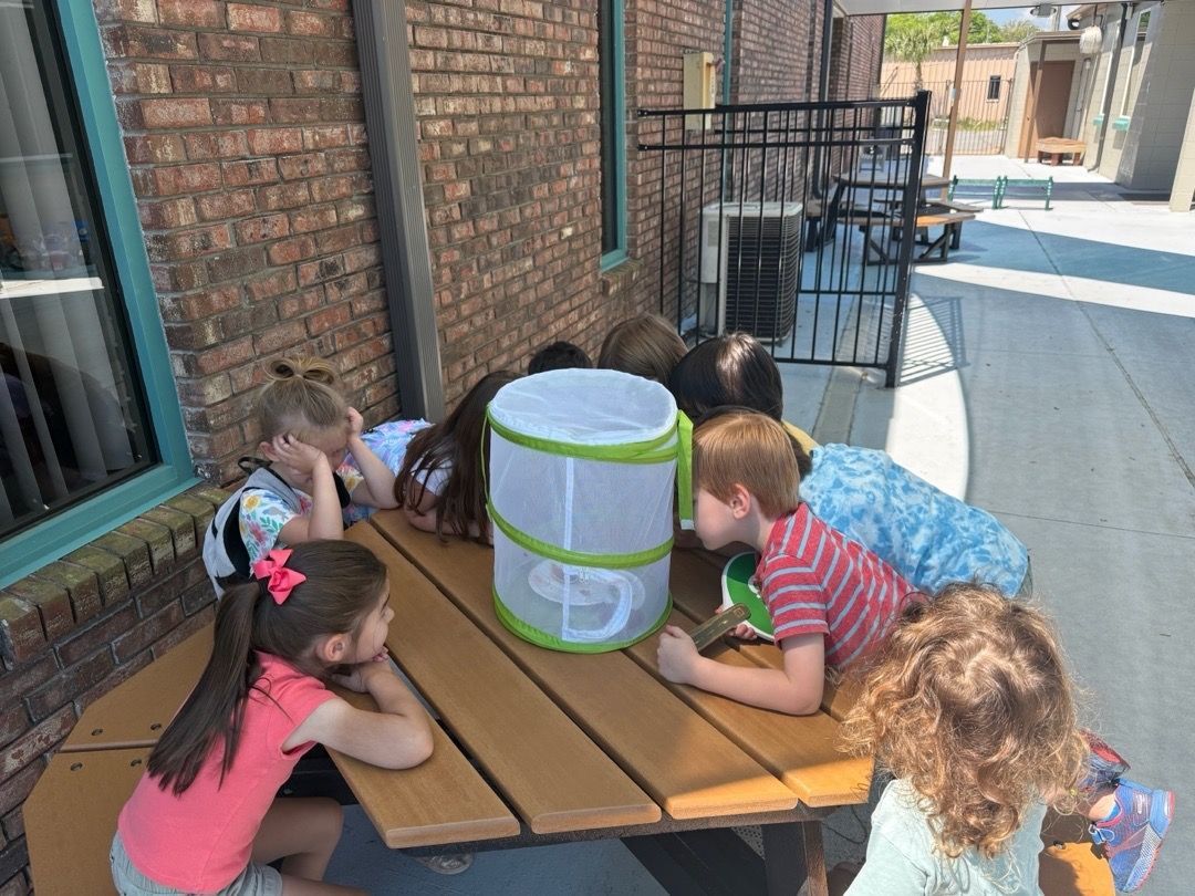 Children gathered around a table outdoors, looking at a white container with a green band.