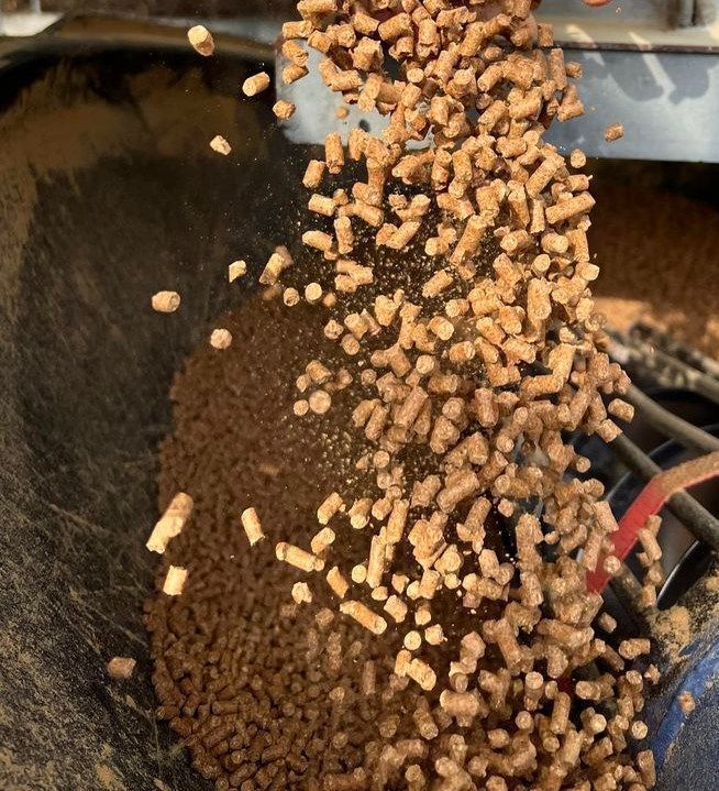Pellets of Animal Feed Pouring From a Machine — Prostoc In Wauchope, NSW
