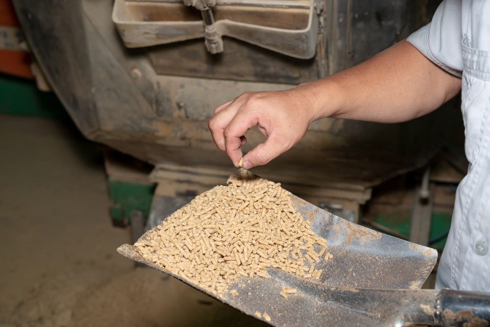 Person Inspecting Animal Feed Pellets on a Metal Scoop — Prostoc In Wauchope, NSW