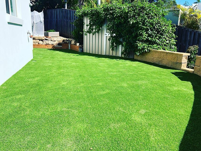 A Lush Green Lawn in a Backyard — HMJ Landscapes in Mudgeeraba, QLD