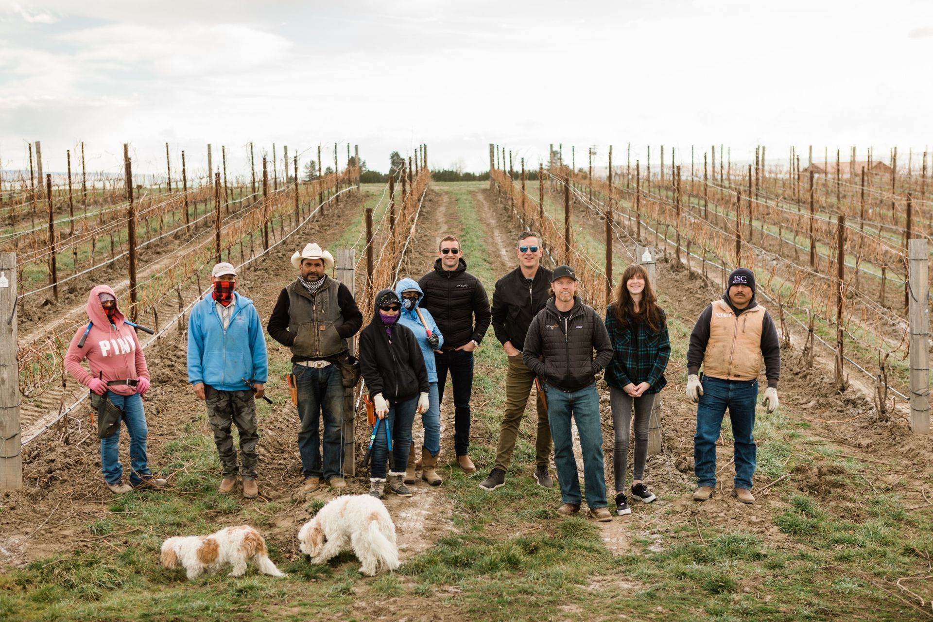 Group of people standing in a vineyard with two dogs in the foreground