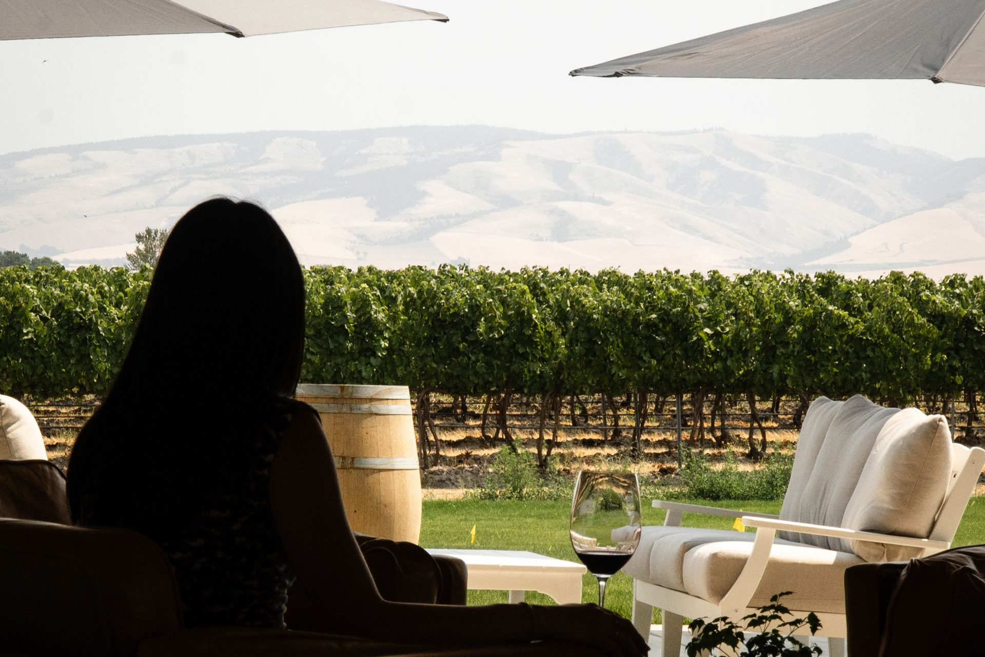 Two people seated at a winery bar, seen from behind, with a rustic wood wall reading “Winery” behind them