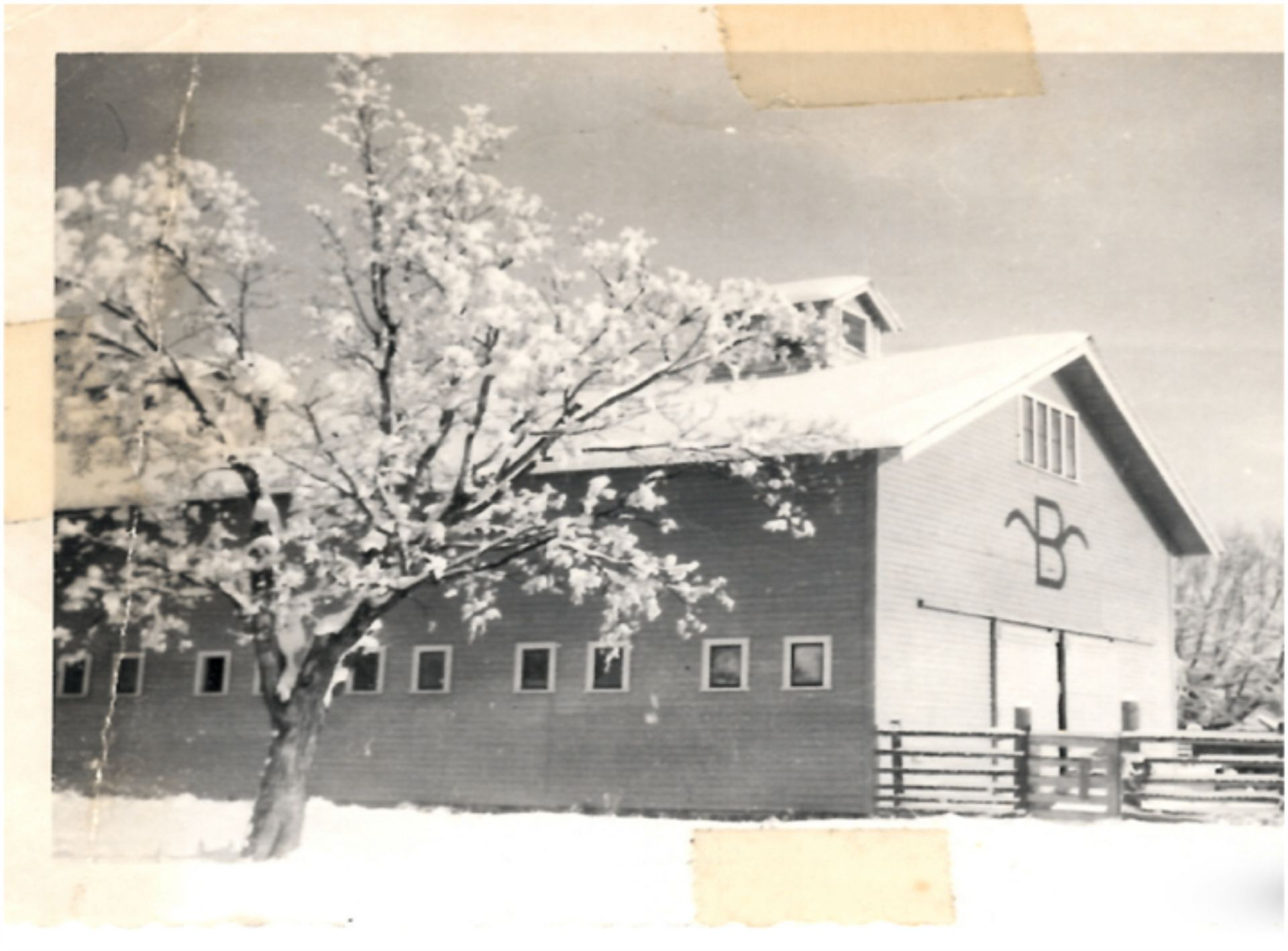 Snowy barn with a tree in front and a logo on the side wall
