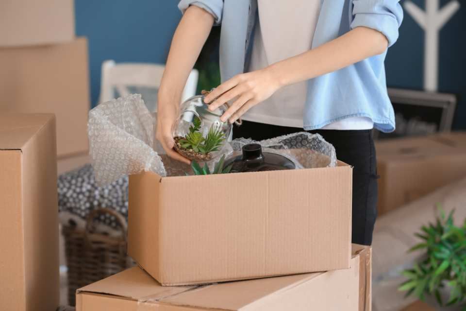 A woman is taking out a potted plant in a cardboard box.