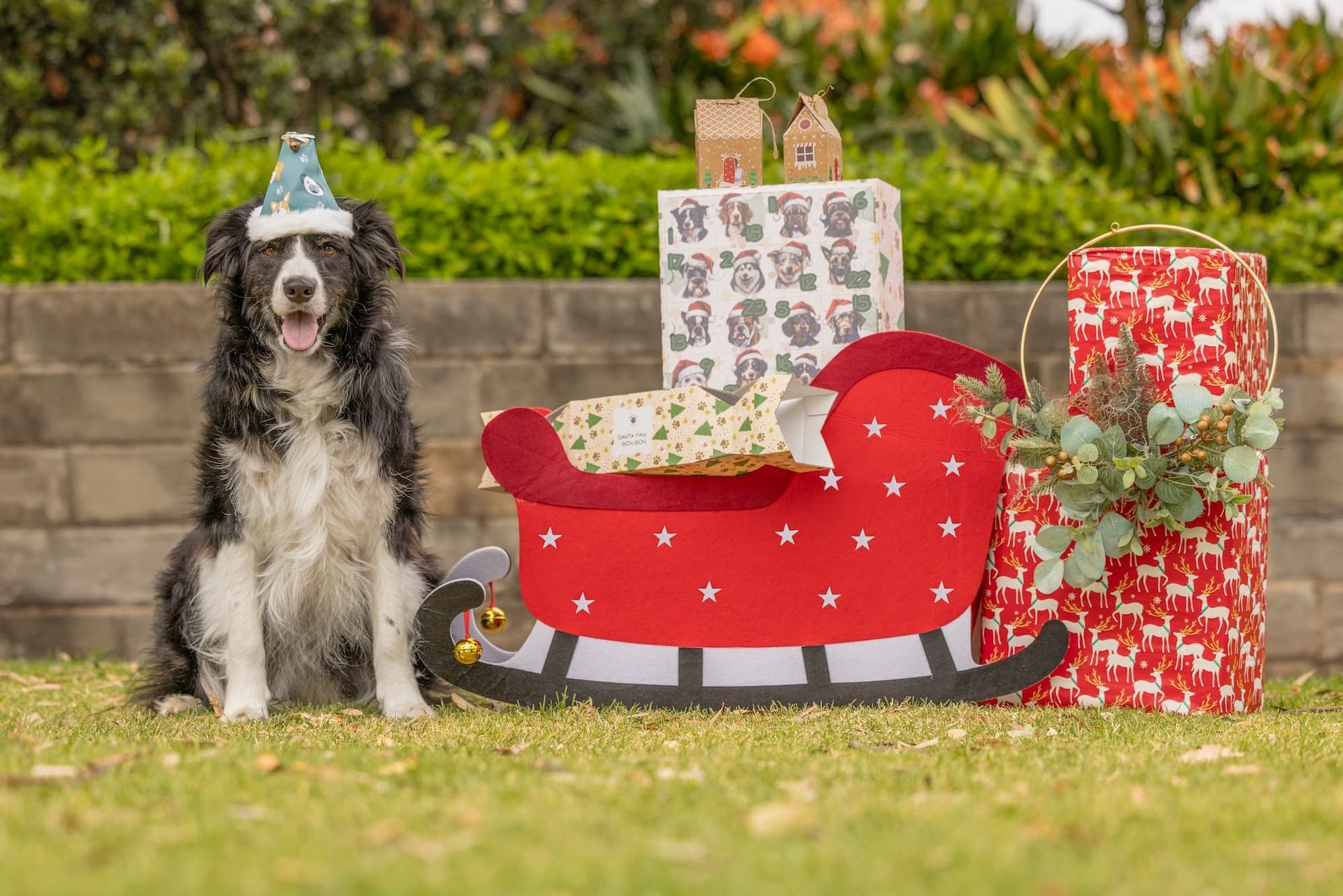 dog next to santa sleigh and presents