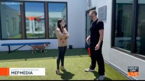 Doctor Vallo and a woman are standing next to each other in a room with a dog.