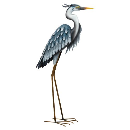 Blue Heron Head Down