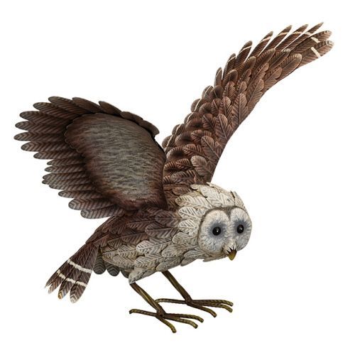 Barn Owl - Wings Up Metal Decor
