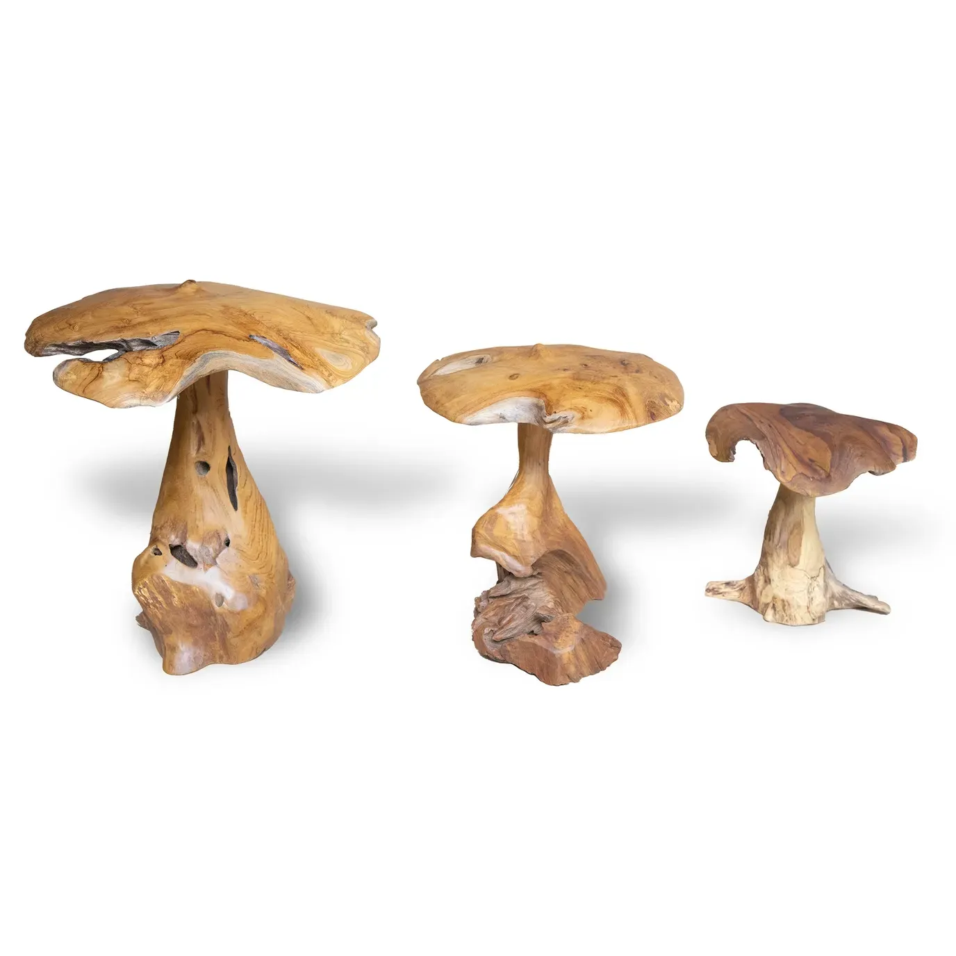 Teak Mushroom Set/3 (50,40,30 cm)