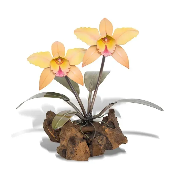 Orchid on Gamal Root Base Soft Orange Tabletop