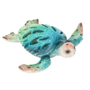 Blue Green Turtle 7