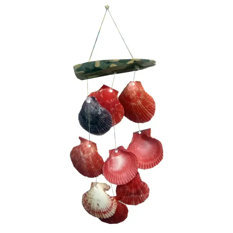 Small Driftwood & Pectin Shell Chime