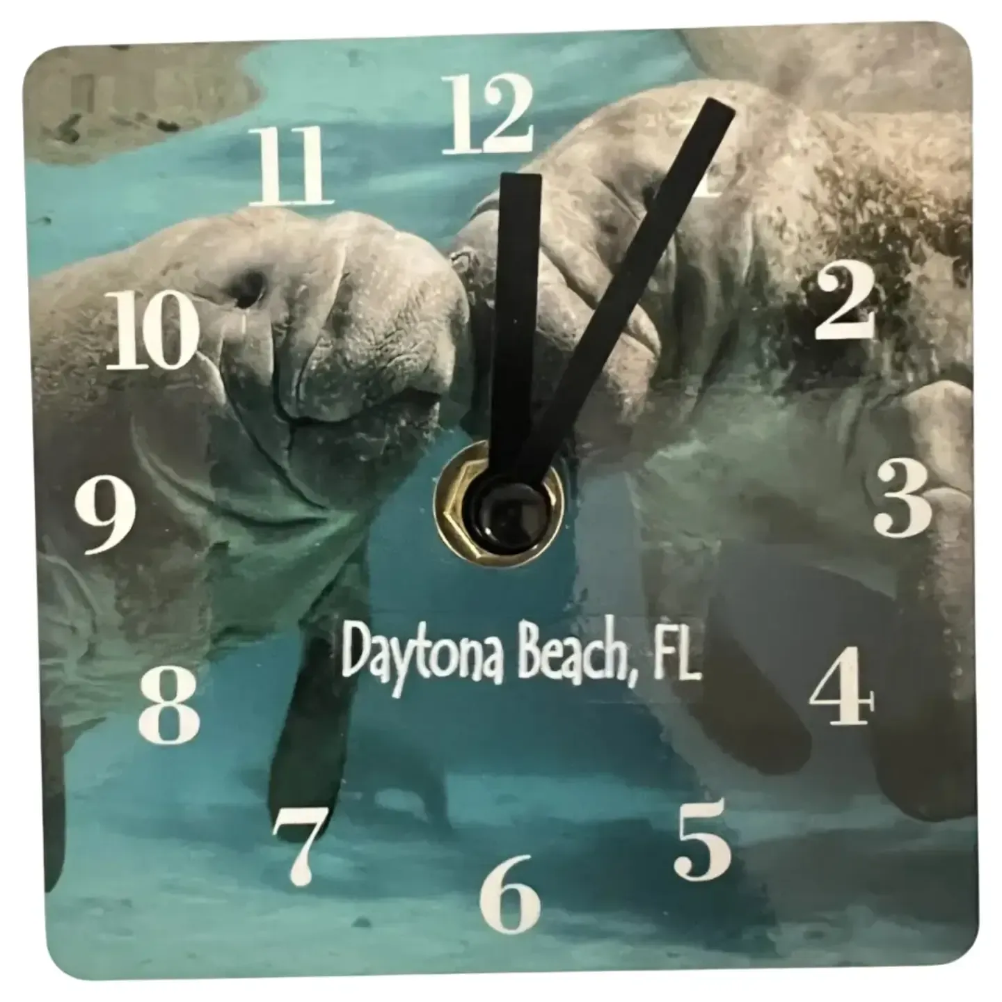 Clock Magnets & Shelf Sitters - Manatee KK C-2213-MT