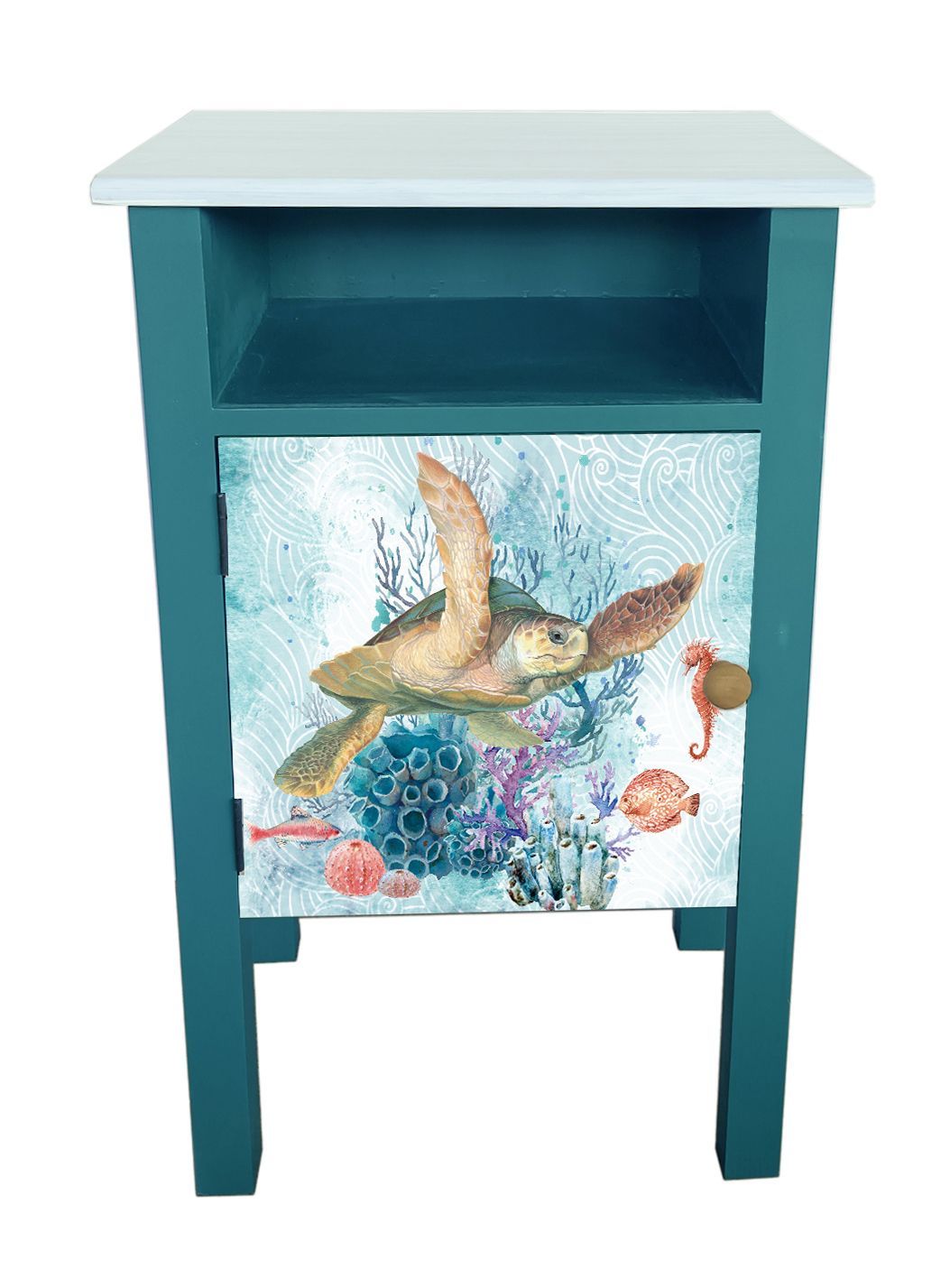 Turtle Door Aqua Cabinet 25 1/2