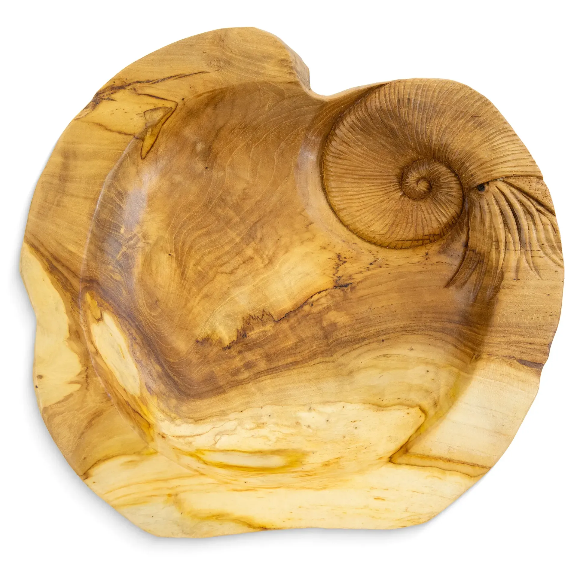 Ammonite Teak Bowl 40cm Round