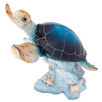 Blue Turtle on Coral 21