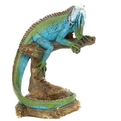Iguana Bottle Holder GI WW-6333