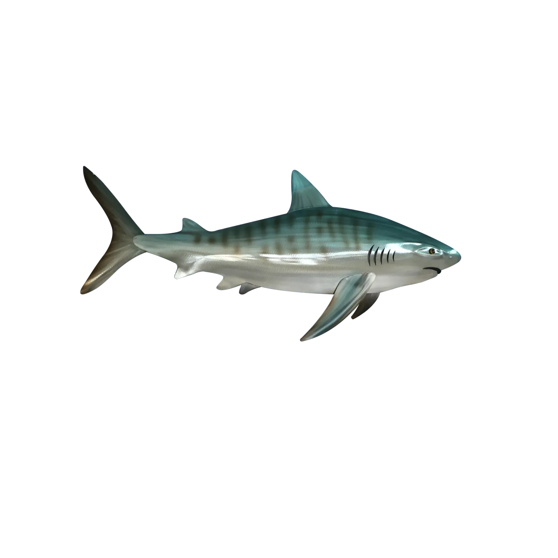 Tiger Shark Stainless Steel Art