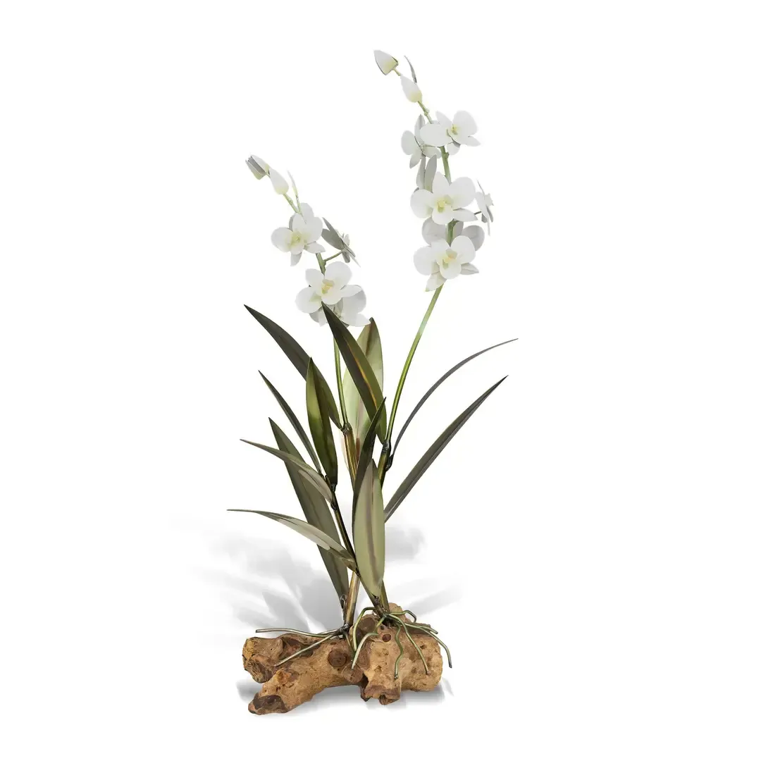 Dendrobium Orchid White on Teak Base Tabletop