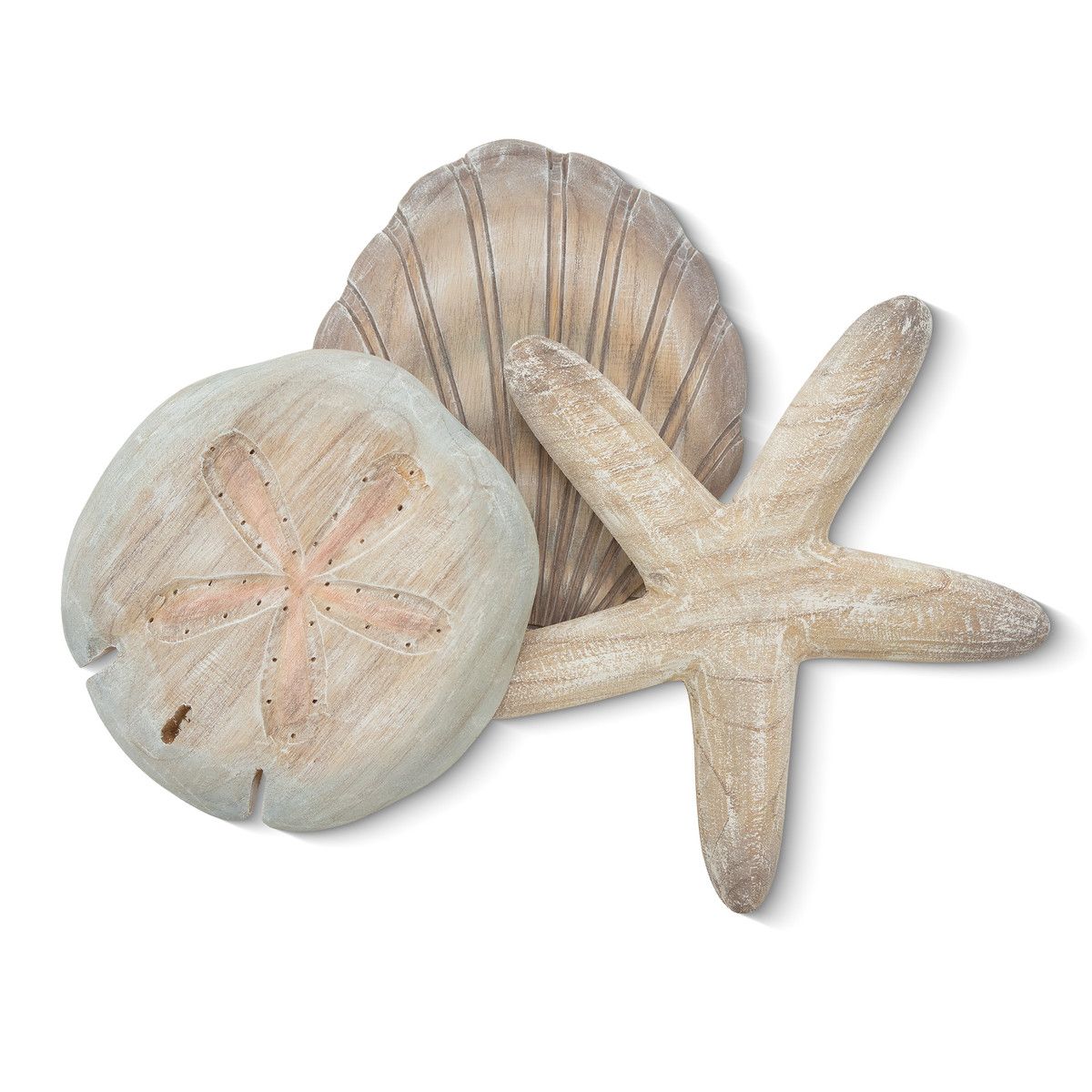 Shell Collection 1 Natural Tones (Scallop Sand Dollar Starfish) Wood Wall Decor