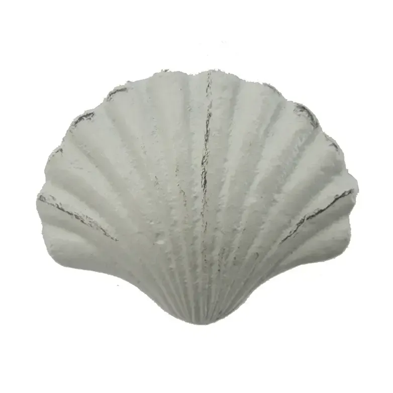 White Scallop Seashell Drawer Pull Cast Iron