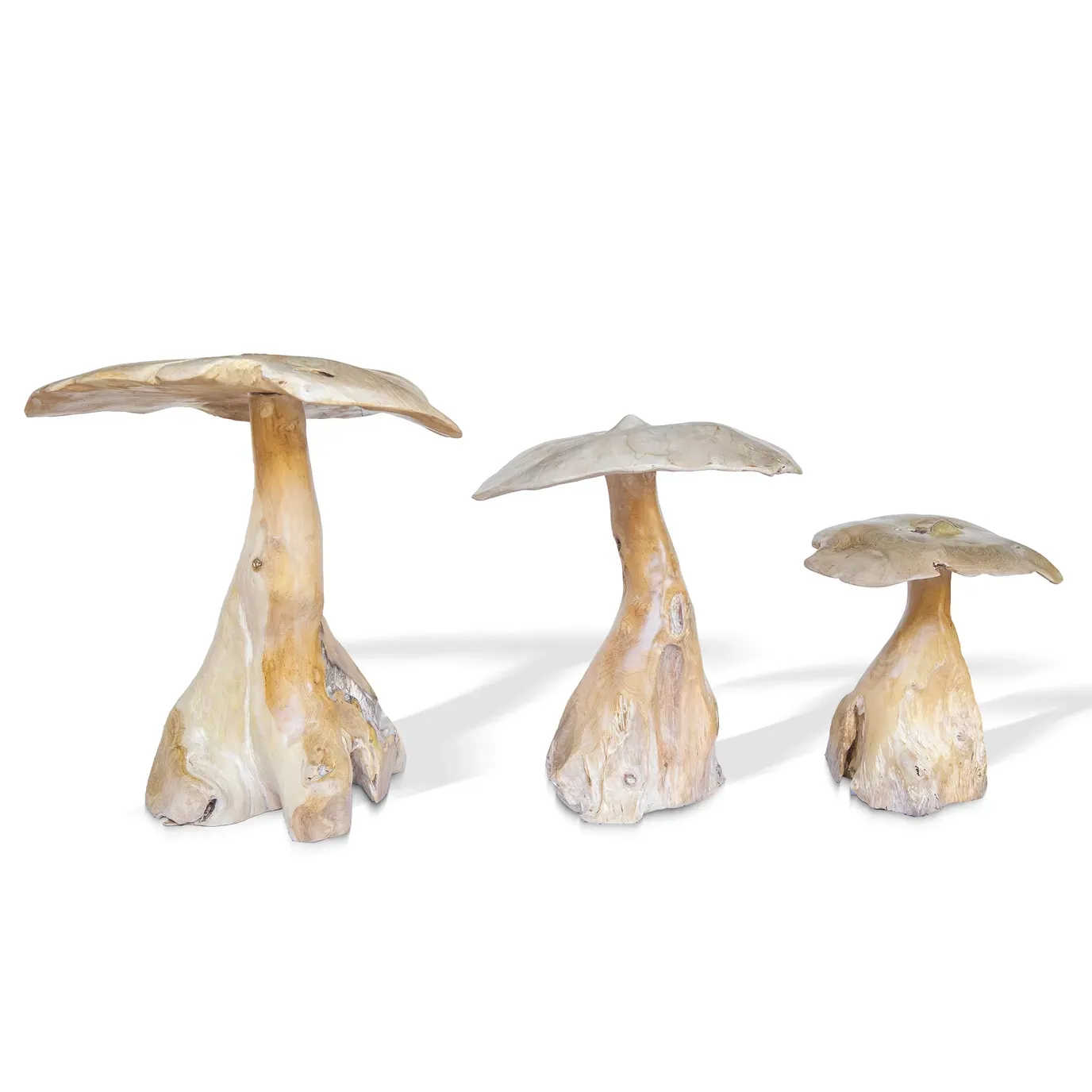 Teak Mushroom Set/3 (50,40,30 cm) Bleached