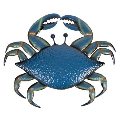 Blue Metal Wall Crab 25