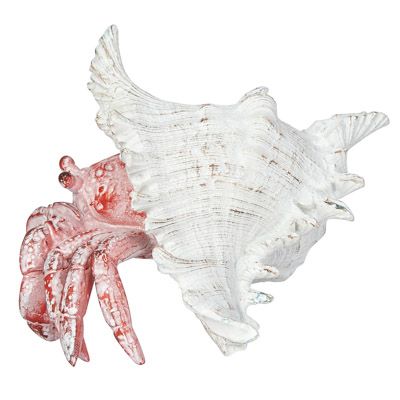 White-Washed Red Crab in Shell 7