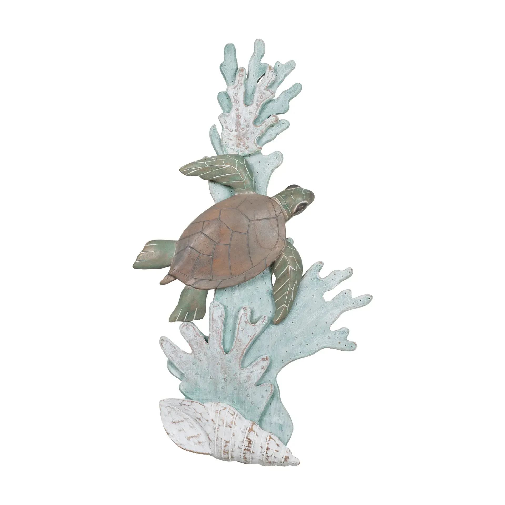 Turtle On Reef Face Right