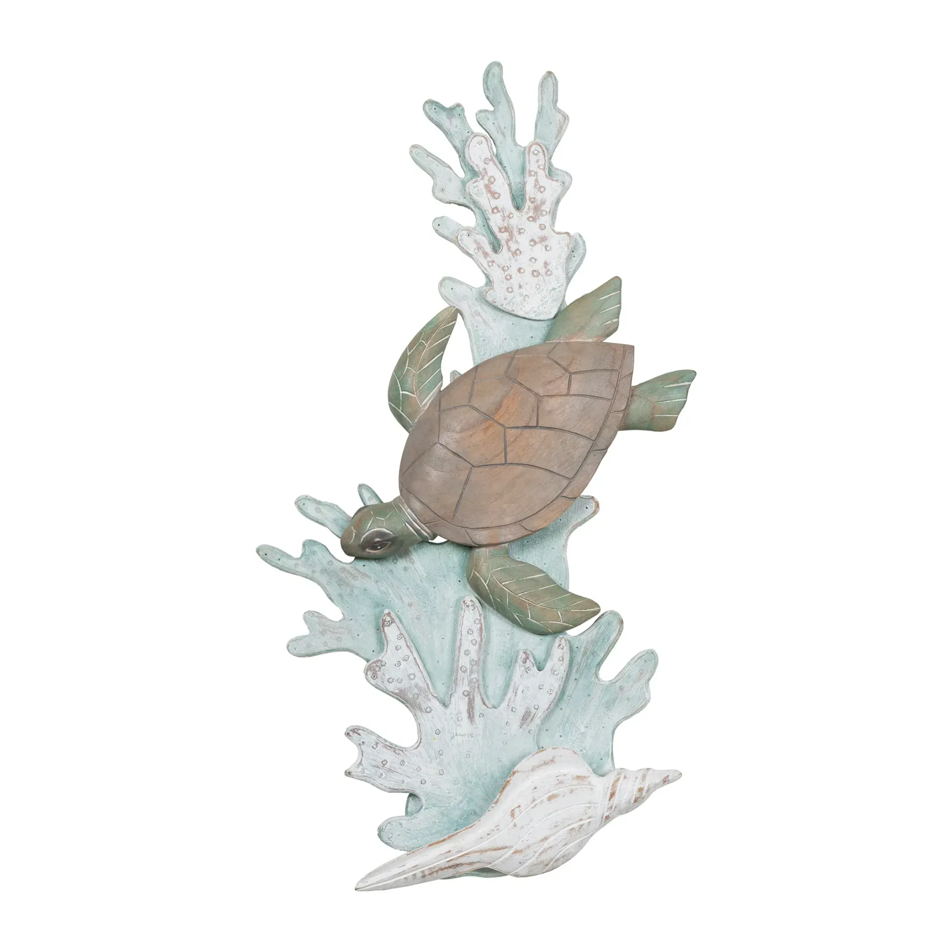 Turtle On Reef Face Left