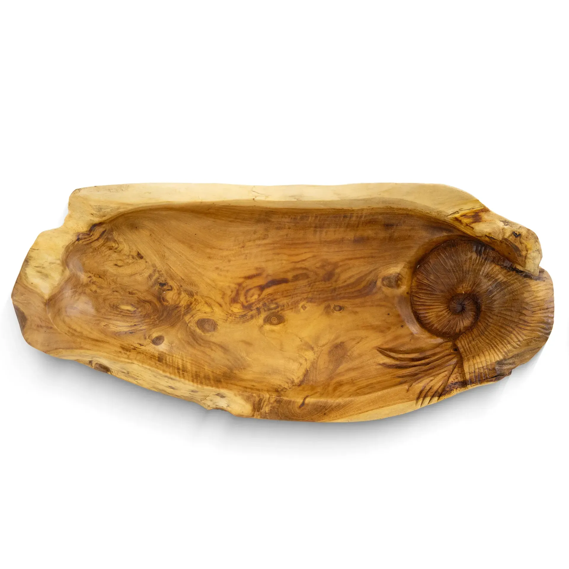 Long Bowl Ammonite 50x15cm Teak Sempolan