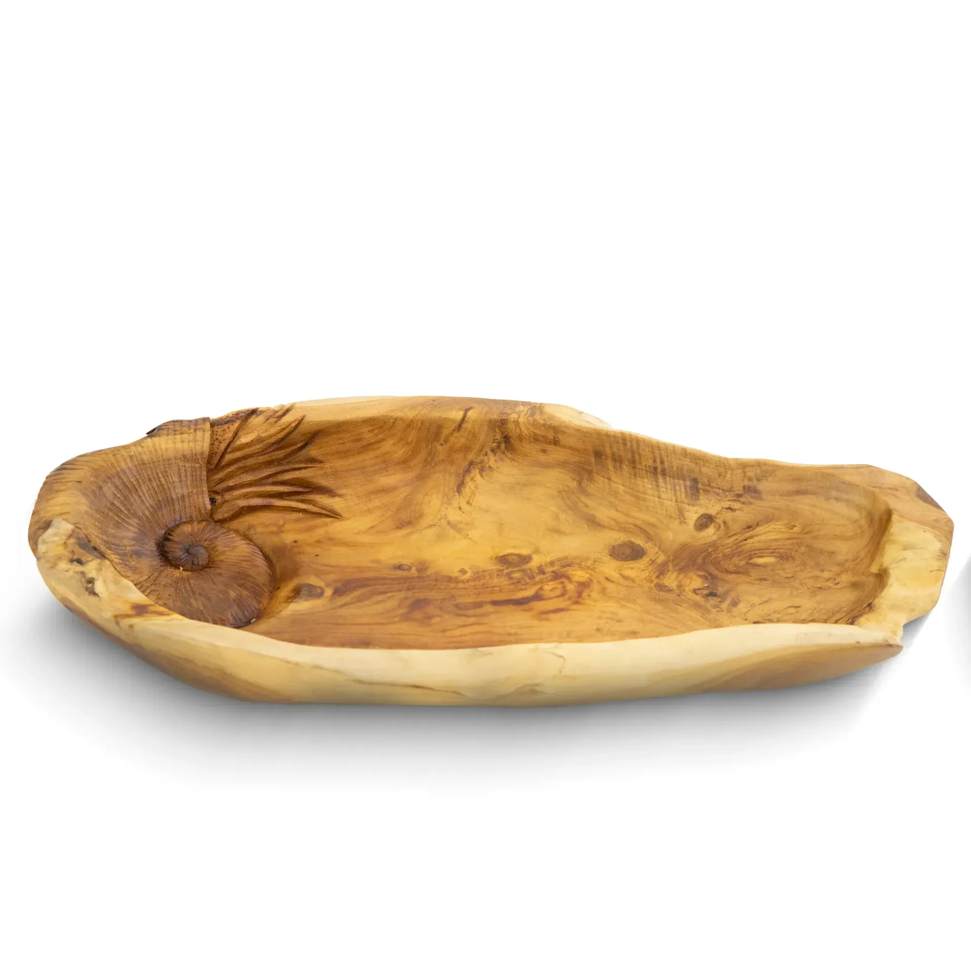 Long Bowl Ammonite 50x15cm Teak Sempolan