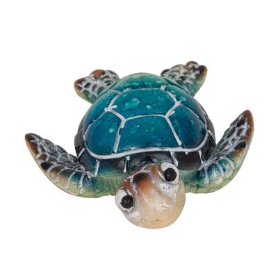 Blue Turtle 3