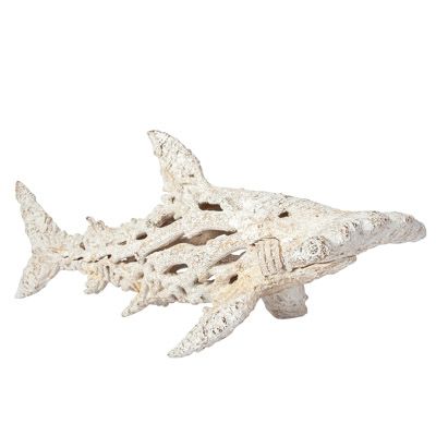 Coral Look Hammerhead Shark