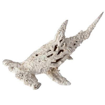 Coral Look Hammerhead Shark